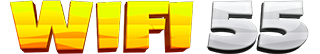 Wifi55